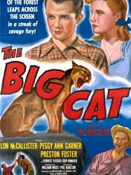 The Big Cat