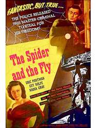 The Spider and the Fly