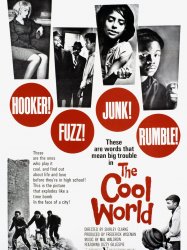 The Cool World