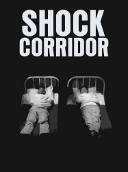 Shock Corridor