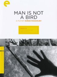 Man Is Not a Bird