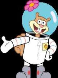 Sandy Cheeks