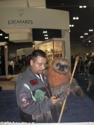 Wicket Wystri Warrick