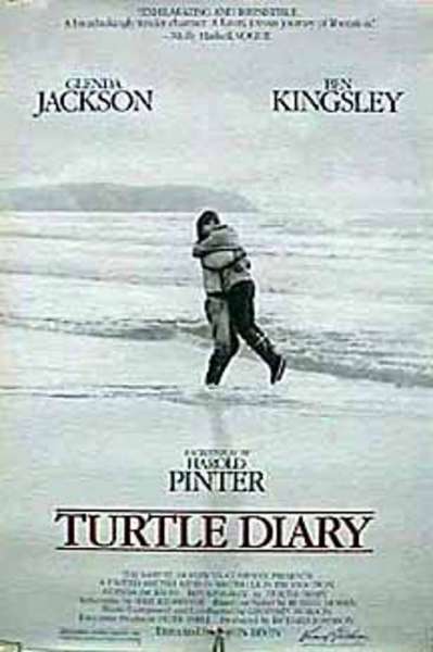 Turtle Diary