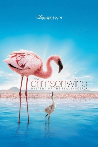 The Crimson Wing: Mystery of the Flamingos