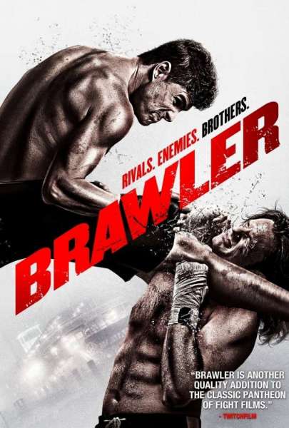 Brawler