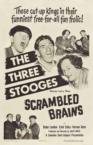 Scrambled Brains