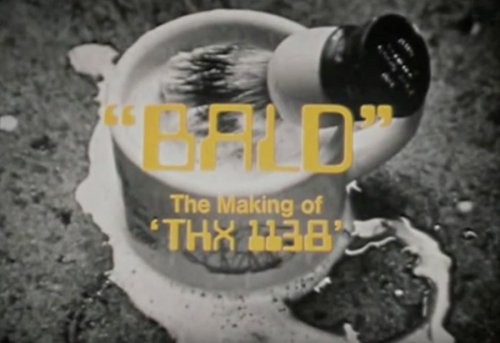 Bald: The Making of 'THX 1138'