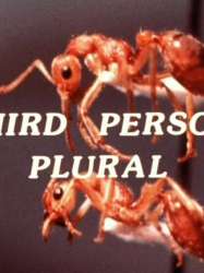 Third Person Plural