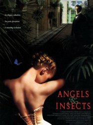 Angels and Insects