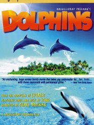 Dolphins