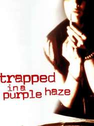 Trapped in a Purple Haze