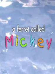 A Ferret Called Mickey