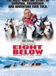 Eight Below