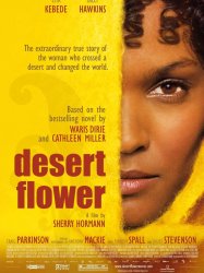 Desert Flower