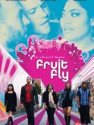 Fruit Fly