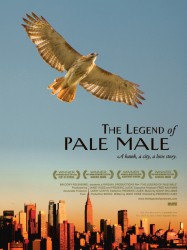 The Legend of Pale Male