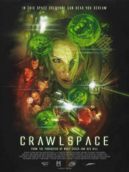 Crawlspace