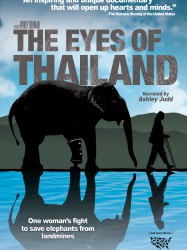 The Eyes of Thailand