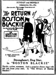 The Return of Boston Blackie