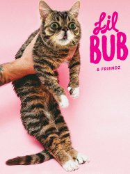 Lil Bub & Friendz