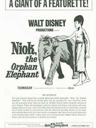 Niok, The Orphan Elephant