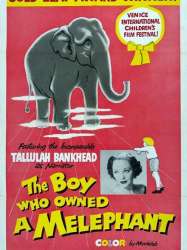 The Boy Who Owned a Melephant