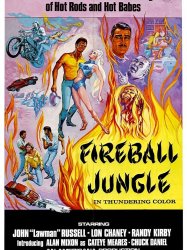 Fireball Jungle