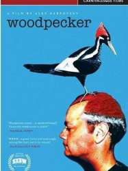 Woodpecker