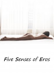 Five Senses of Eros