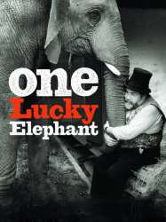 One Lucky Elephant