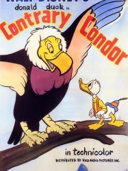 Contrary Condor