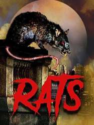 Rats