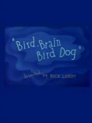 Bird-Brain Bird Dog