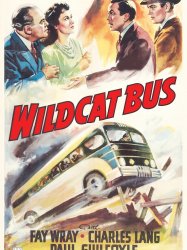 Wildcat Bus