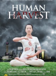 Human Harvest