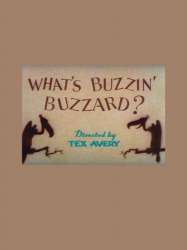 What's Buzzin' Buzzard?