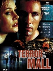 Terror in the Mall