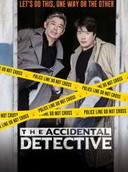 The Accidental Detective