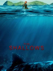 The Shallows