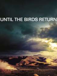 Until The Birds Return