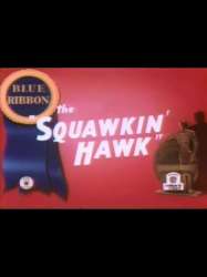 The Squawkin' Hawk