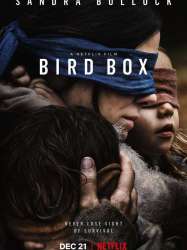 Bird Box