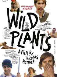 Wild Plants