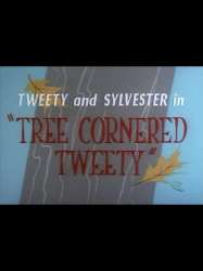 Tree Cornered Tweety