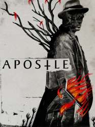 Apostle