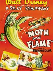 Moth and the Flame