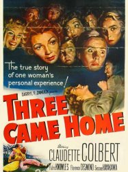 Three Came Home