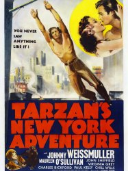 Tarzan's New York Adventure