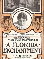 A Florida Enchantment